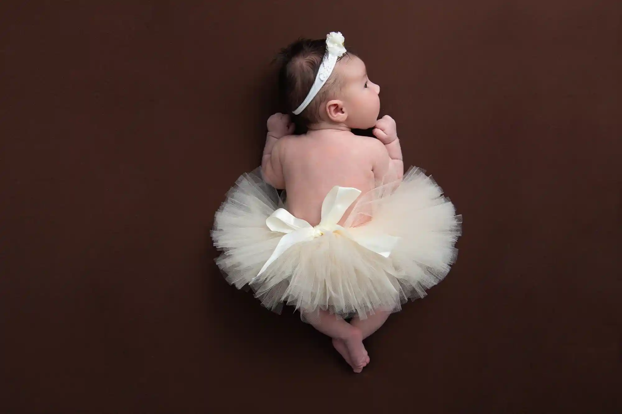 Newborn and pet portrait at Sky Portraits Studio, Sydney - unique newborn photography